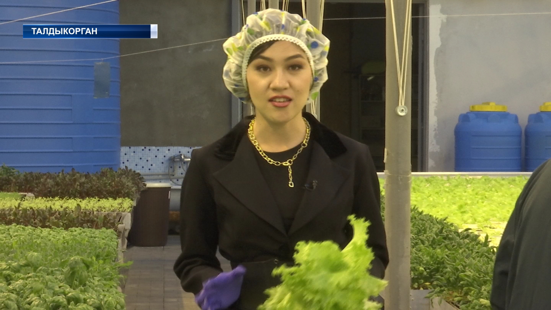 К вашему столу с любовью! Зеленый бизнес активно развивают в Талдыкоргане