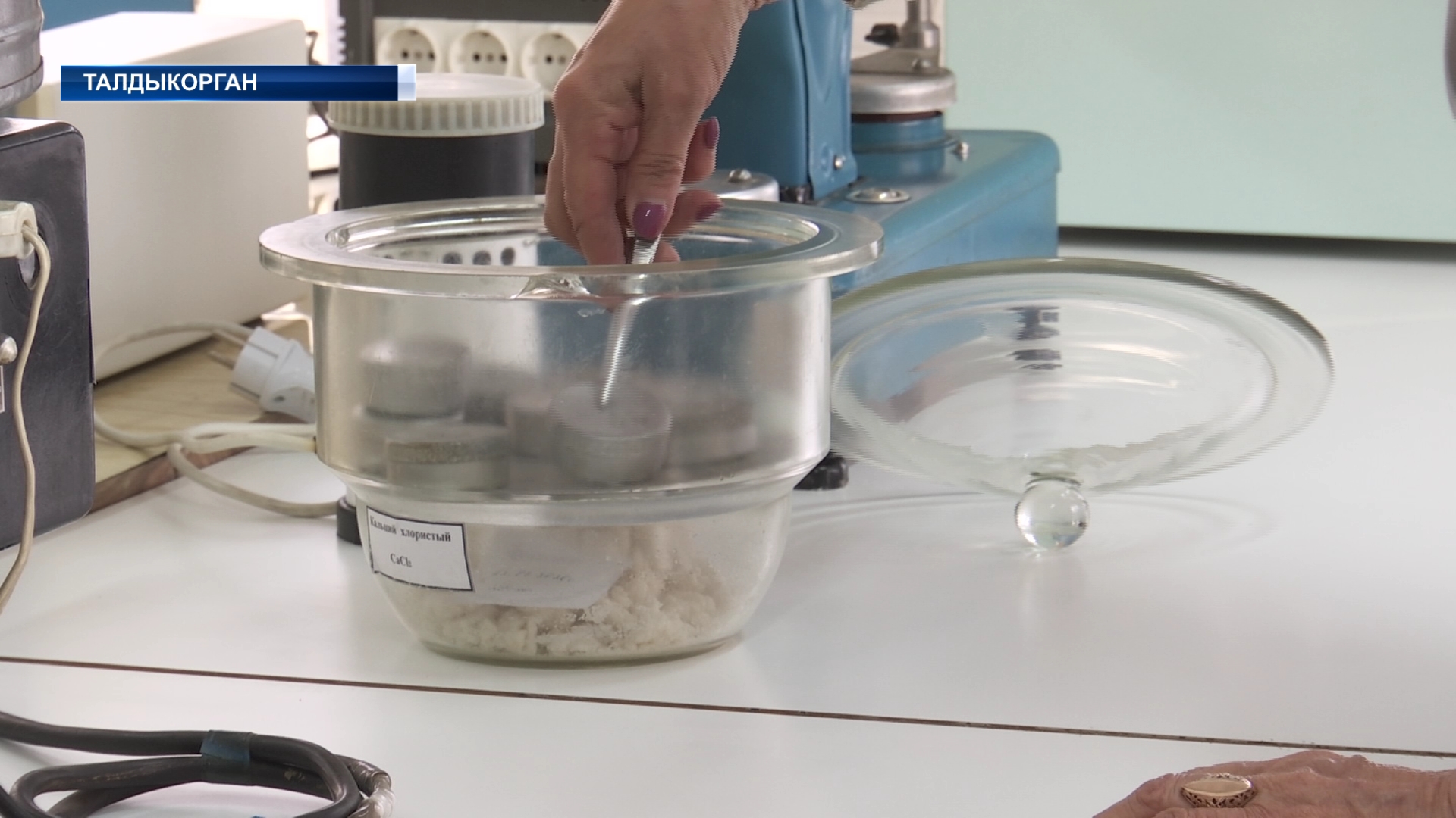 Аграрии готовятся к посевной и проверяют семена на всхожесть