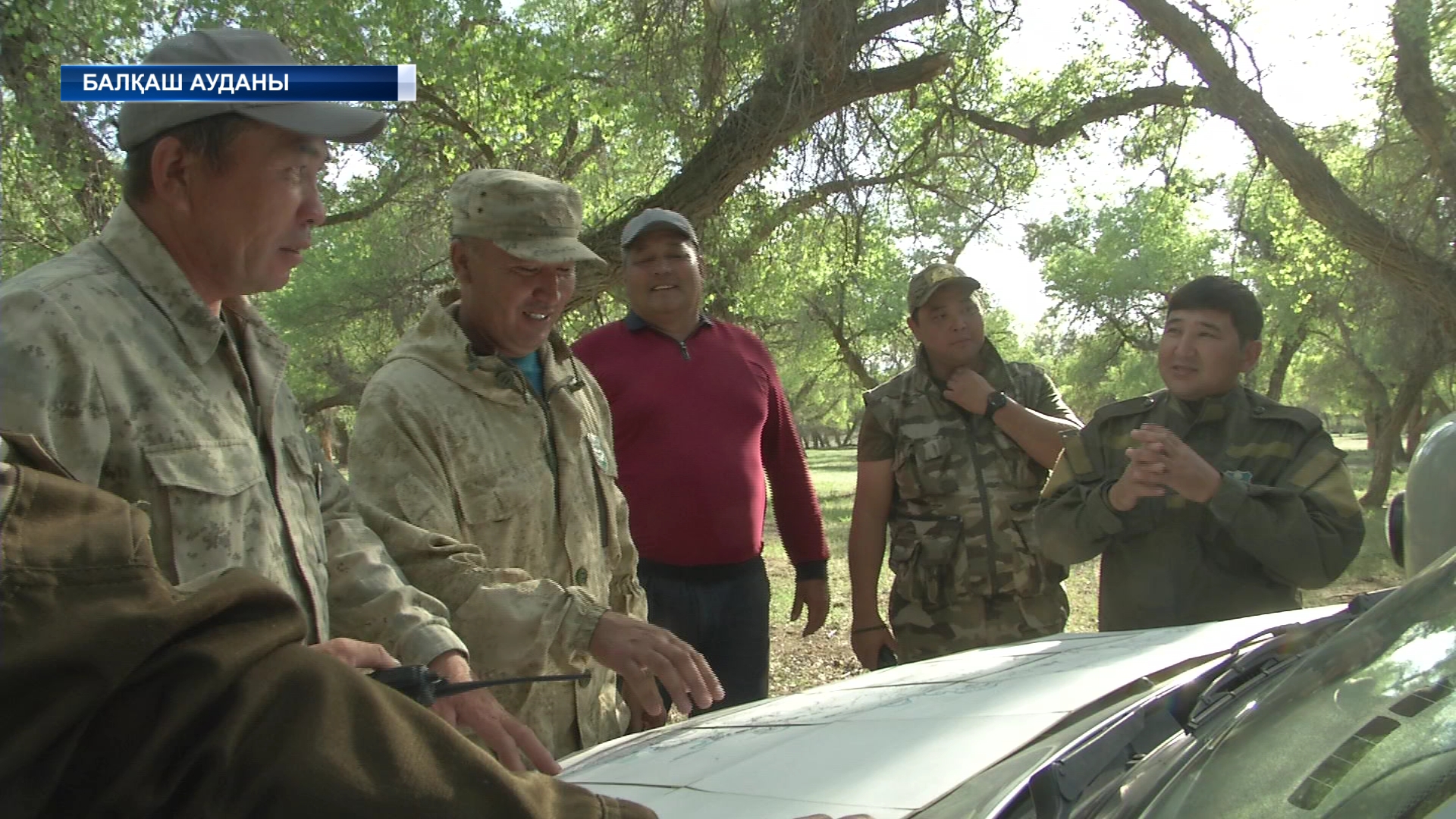 Көктем шыққалы 67 орман, 1 дала өрті тіркелген