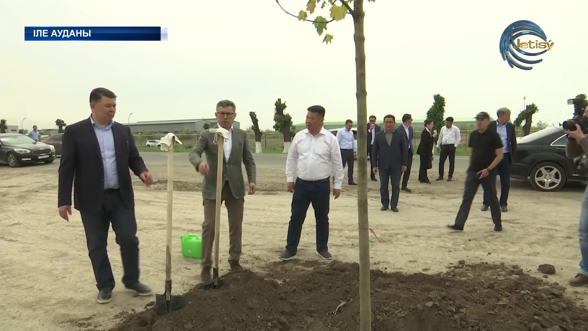 Мереке күні Іле ауданында бес мың түп ағаш отырызылды