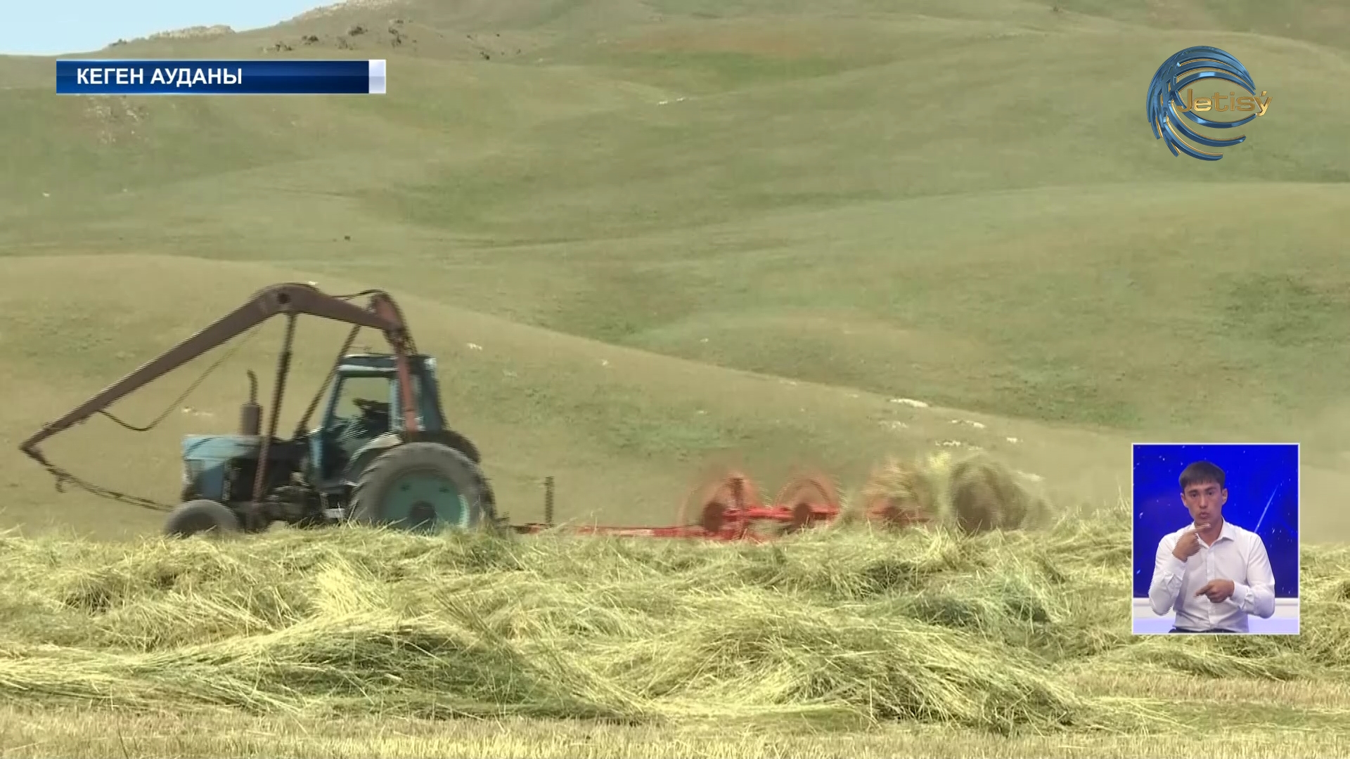 Кеген ауданында шөп жинау науқаны қызу жүріп жатыр