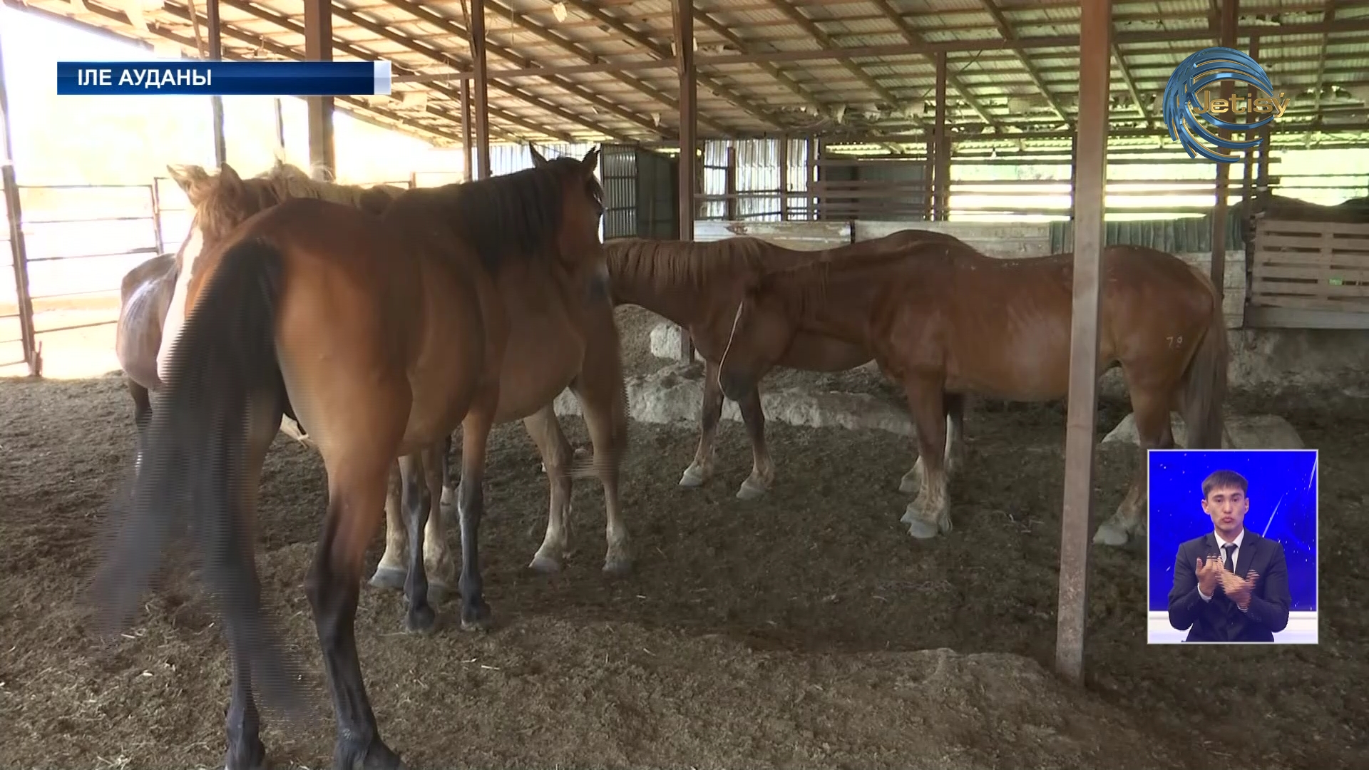 «Балжан» шаруа қожалығының қымызы балдай екен