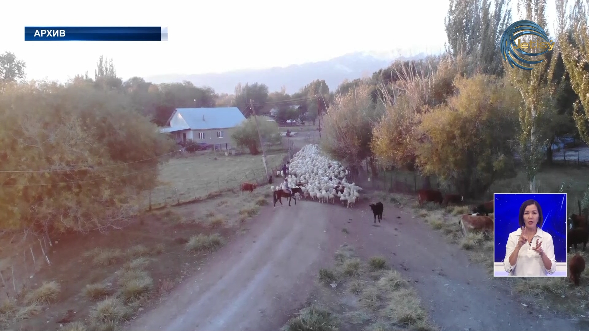 Неиспользуемые земли возвращаются в собственность государства