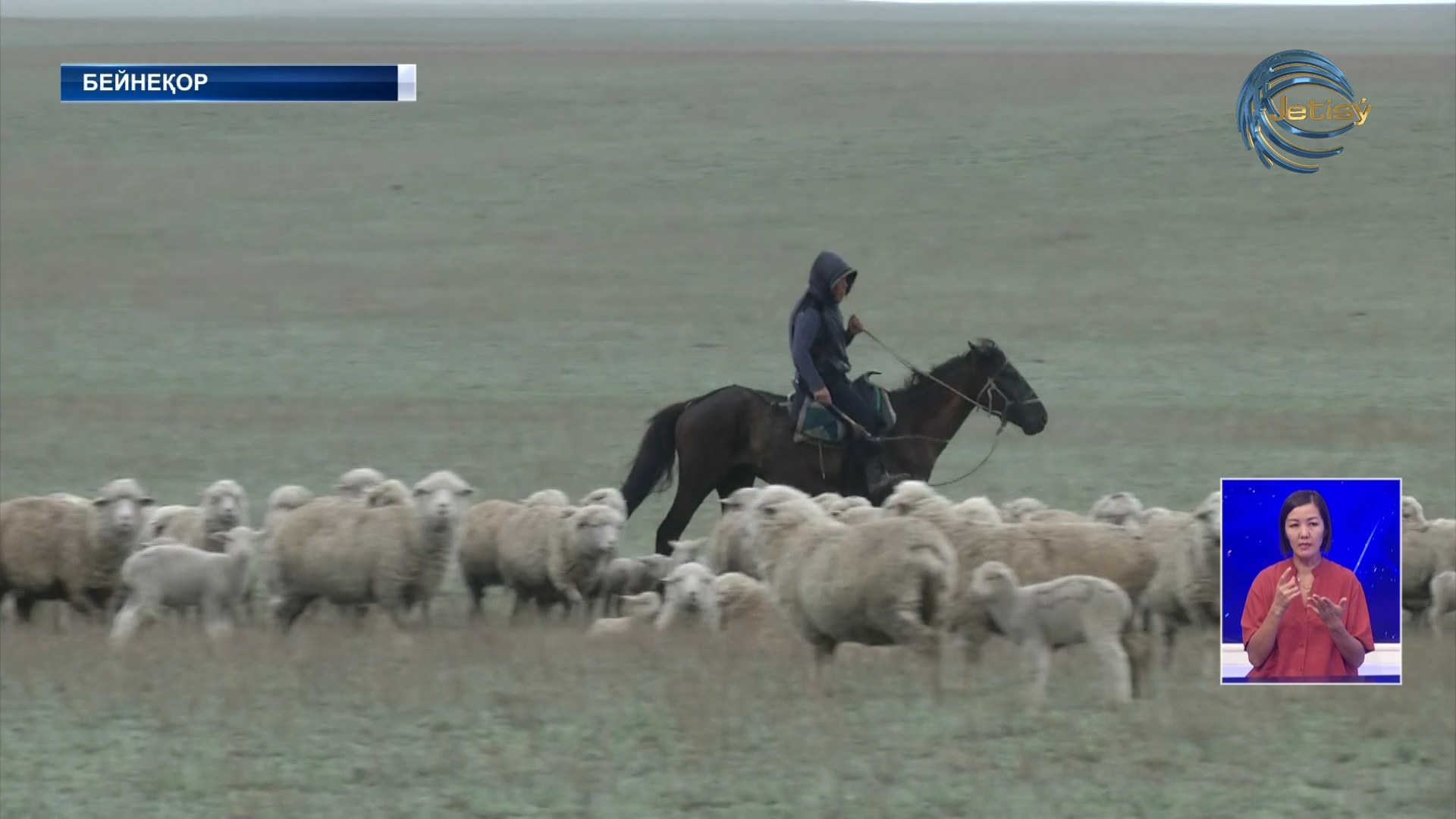 Не используемые земли возвращаются государству