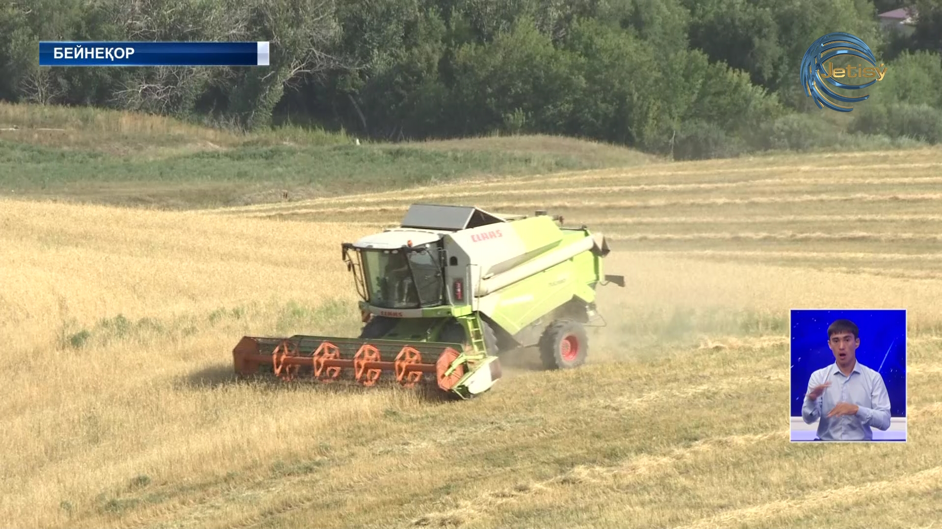 Жетісу облысында егін ору науқаны қызу