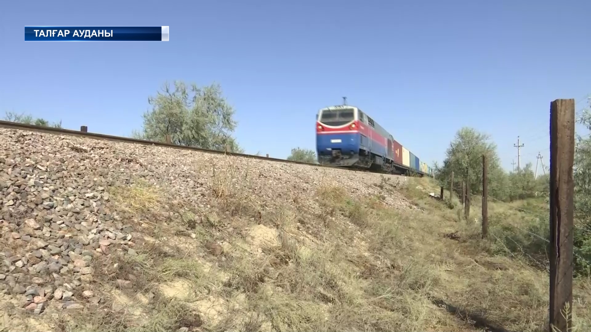 Талғар ауданы аумағында жүк пойызы 123 қойды қағып кетті