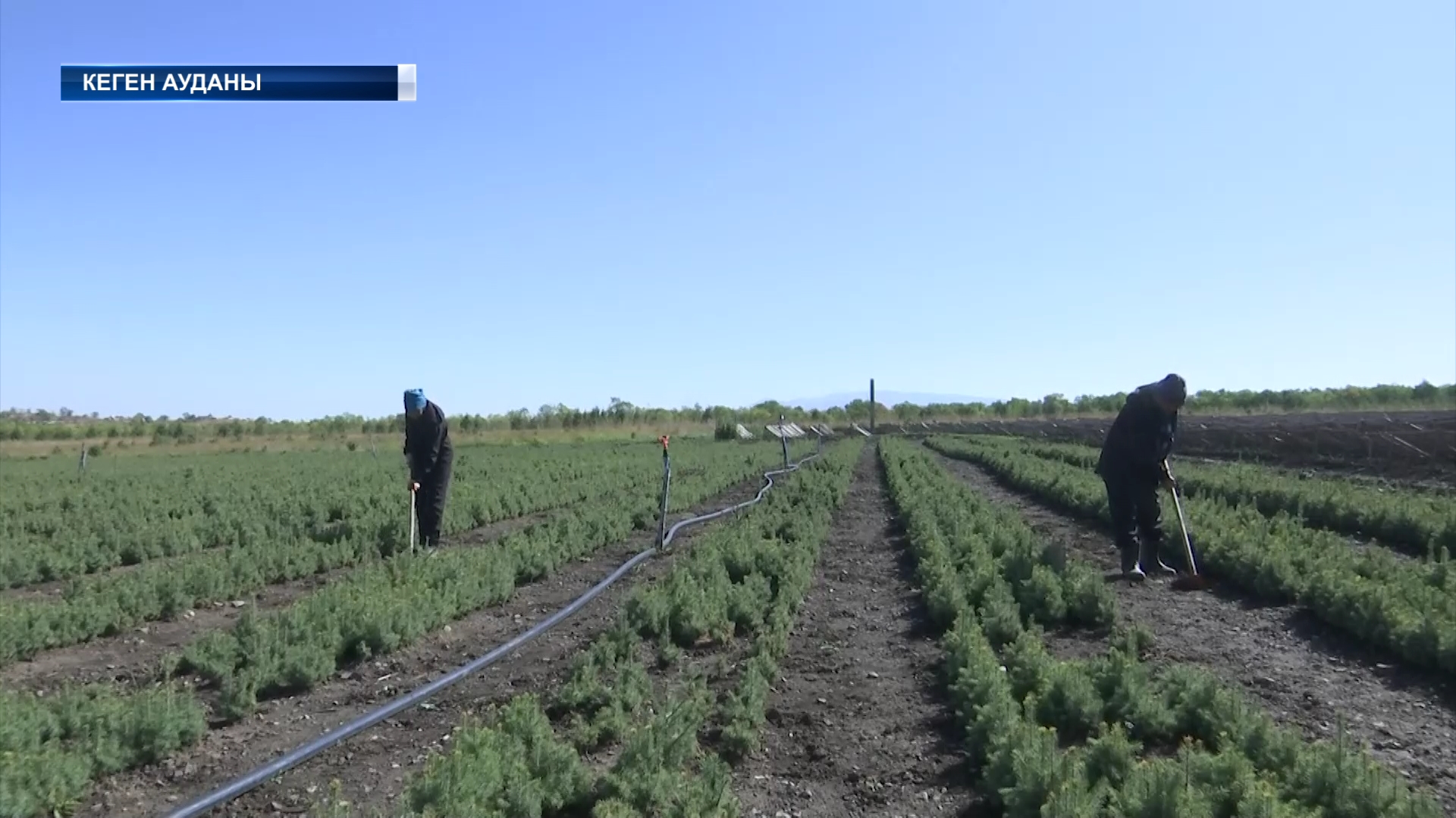 Табиғат байлығын сақтау адамзаттың басты міндеті