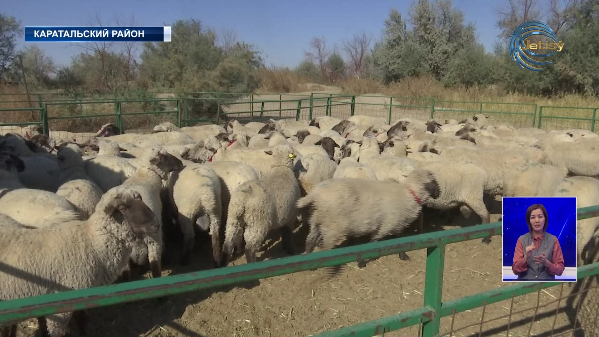 Лучших- приумножить