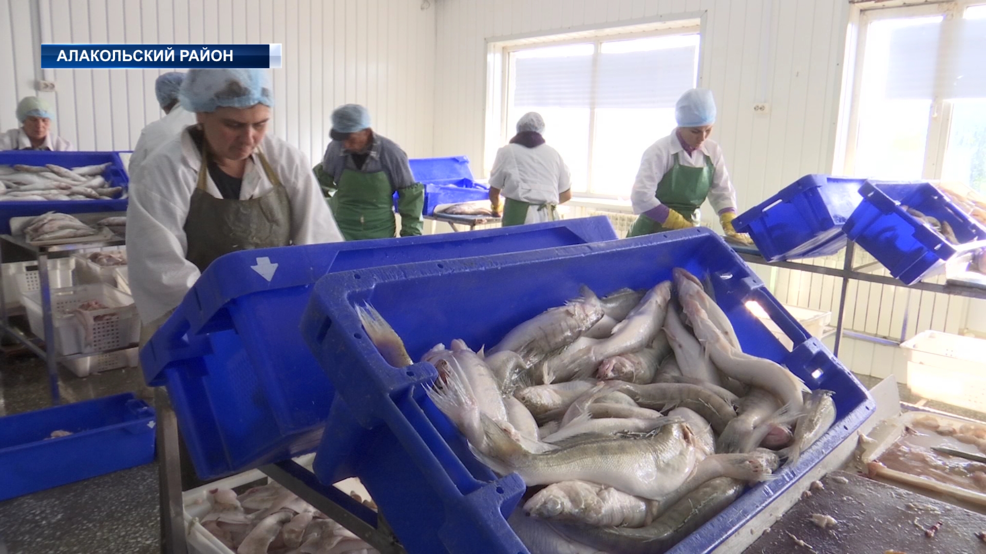 Рыбоперерабатывающий завод «Болашак Бастау» в Алакольском районе экспортирует свою продукцию в страны Европы