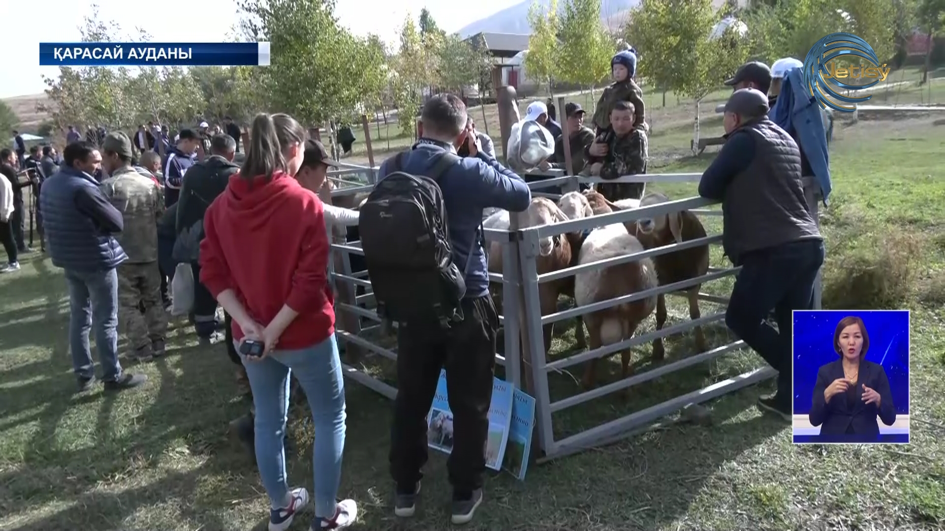 Қарасай ауданында қойлар көрмесі өтті