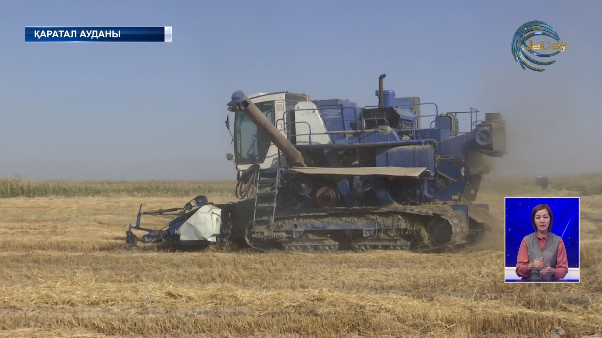 Қаратал ауданында күріш жинау науқаны аяқталуға жақын