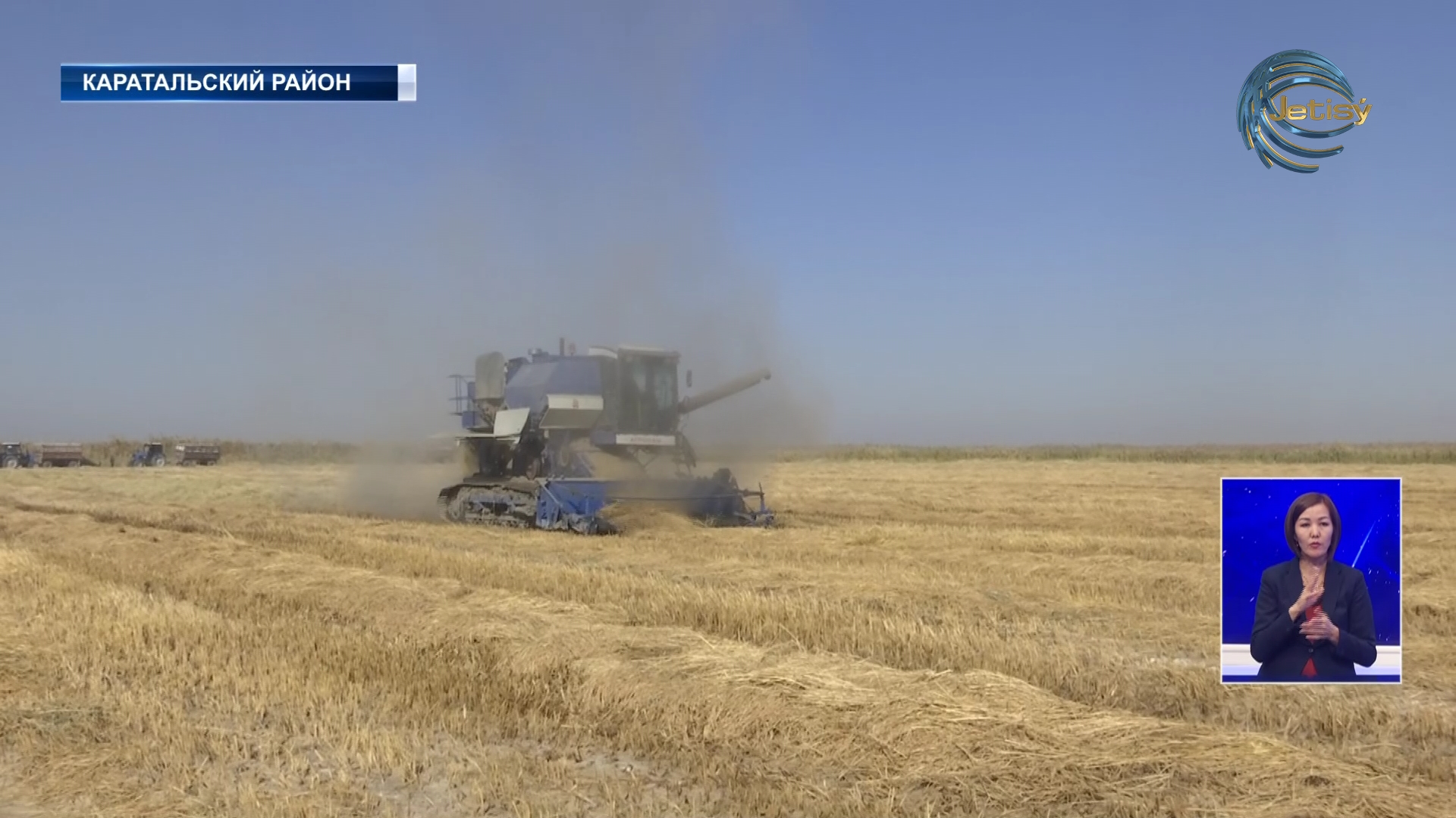 Близится к завершению уборка Риса в Каратальском районе