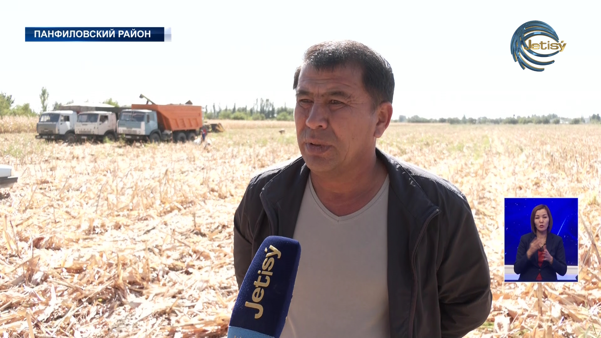 В Панфиловском районе кукурузой засеяли более 26 тысяч гектаров земли