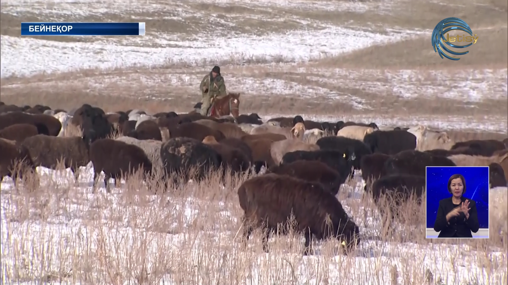 Биыл игерілмей жатқан тағы 5 миллион гектар жер мемлекетке қайтарылады