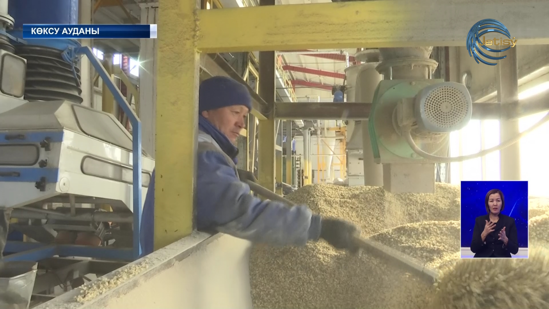 Соя ұрлайтын көгершіндер