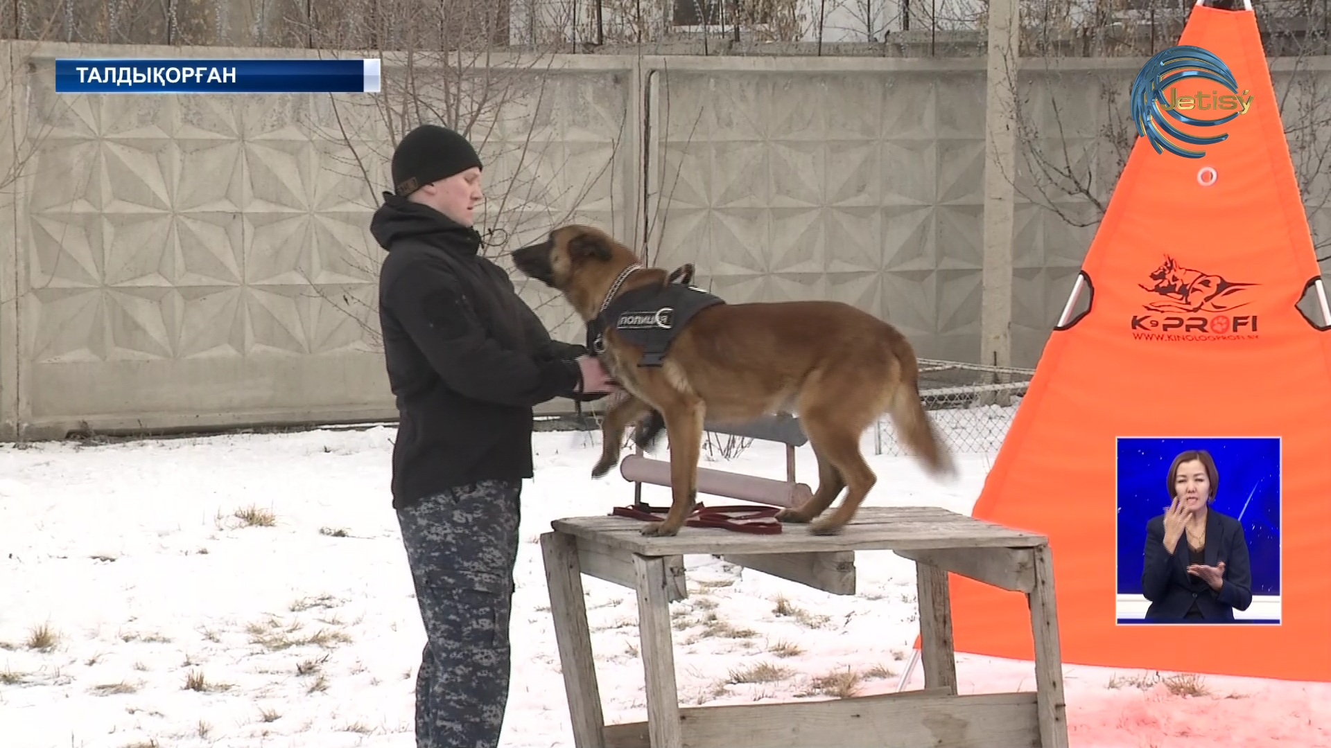 Жетісулық кинологтар дайындығын күшейтті