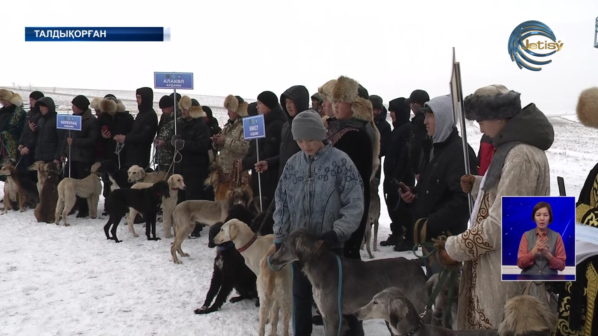 Талдықорғанда тазы иттердің жарысы өтті
