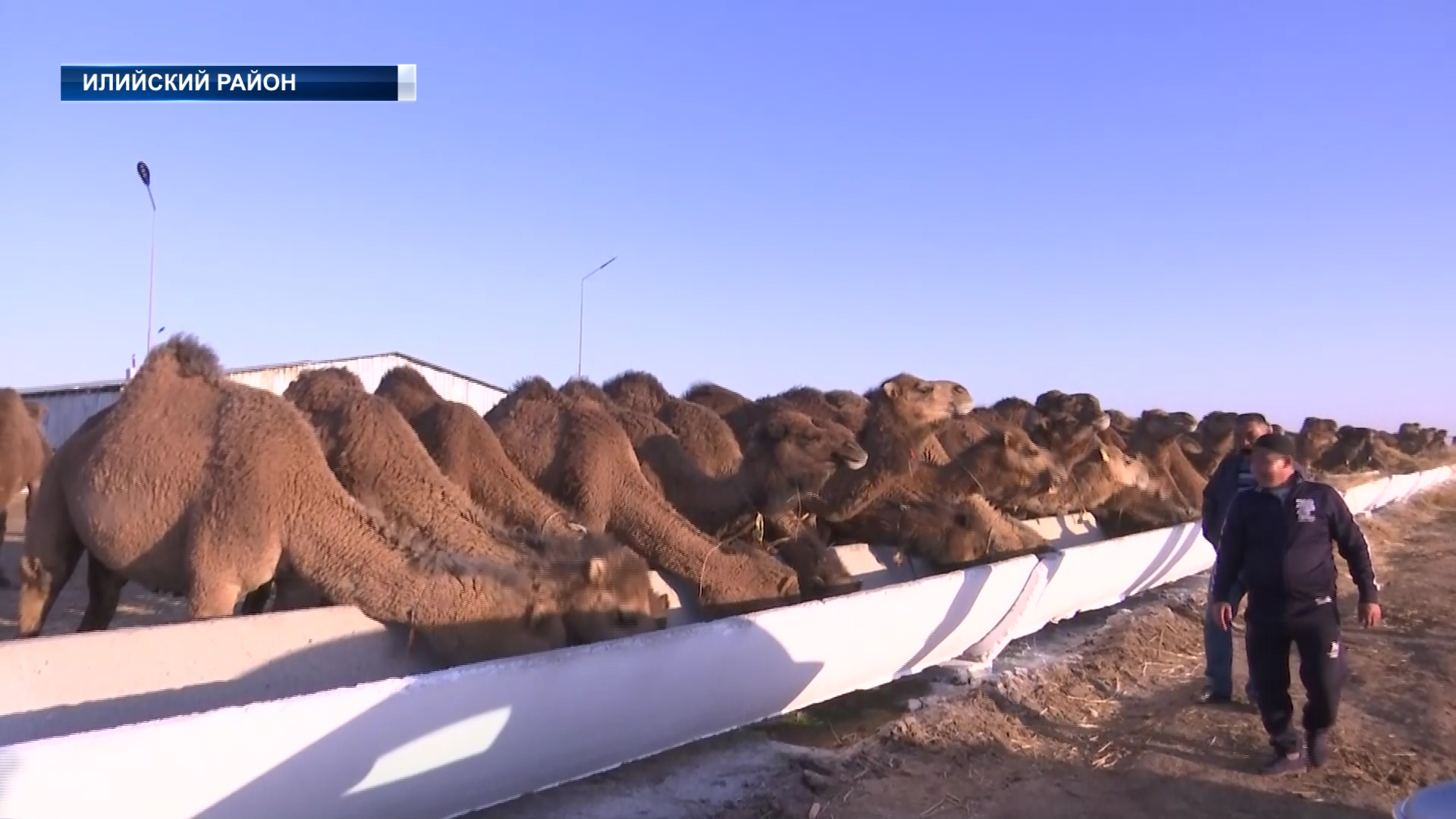 Проблемы трехсменных школ, неосвоение земель, а также развитие бизнеса эти и другие вопросы стали темой встречи акима Алматинской области Марат Султангазиев, состоявшейся в Илийском районе