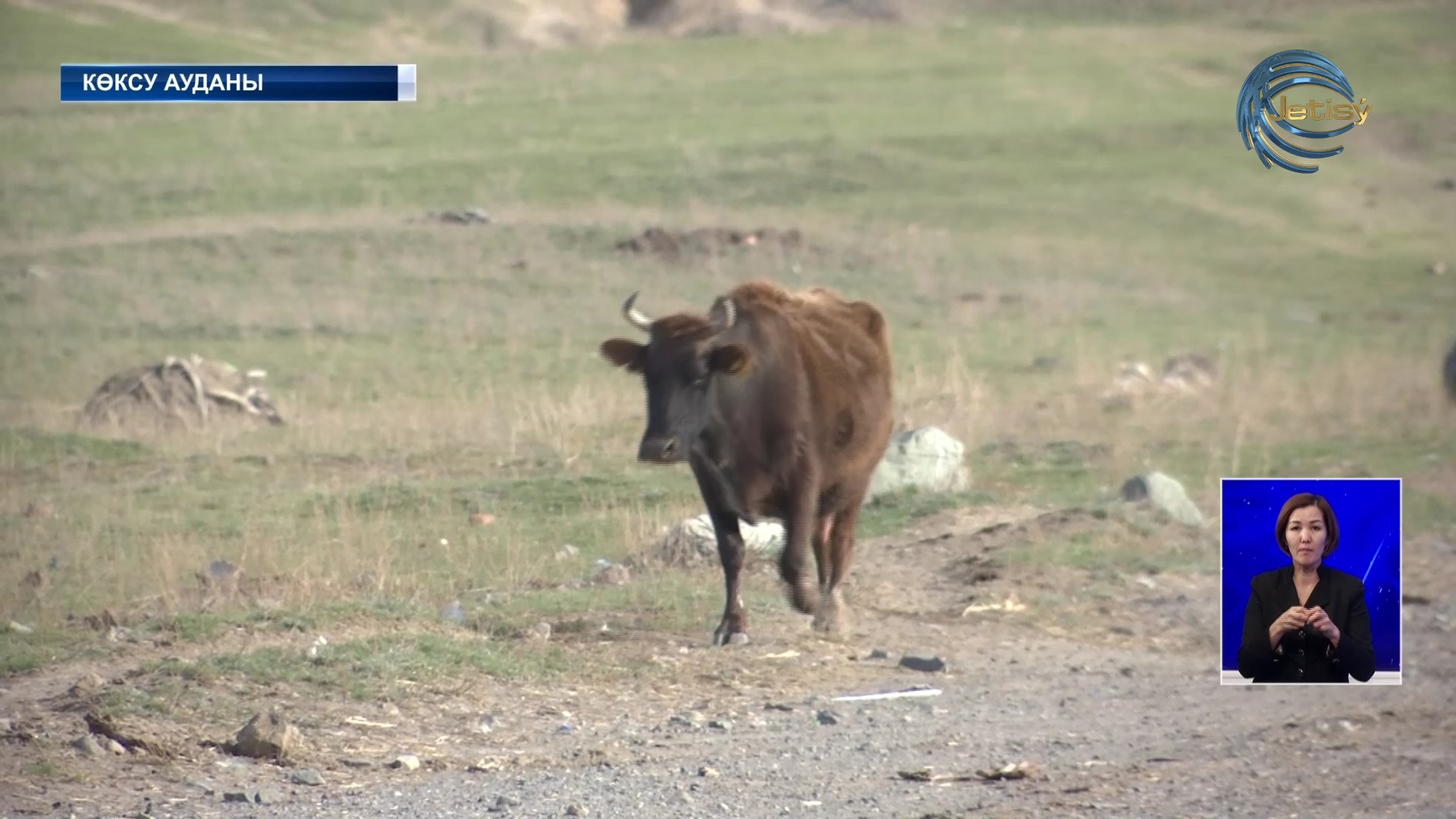 “Мал жаятын жер жоқ” – тұрғындар күре жолды жаппақшы болды