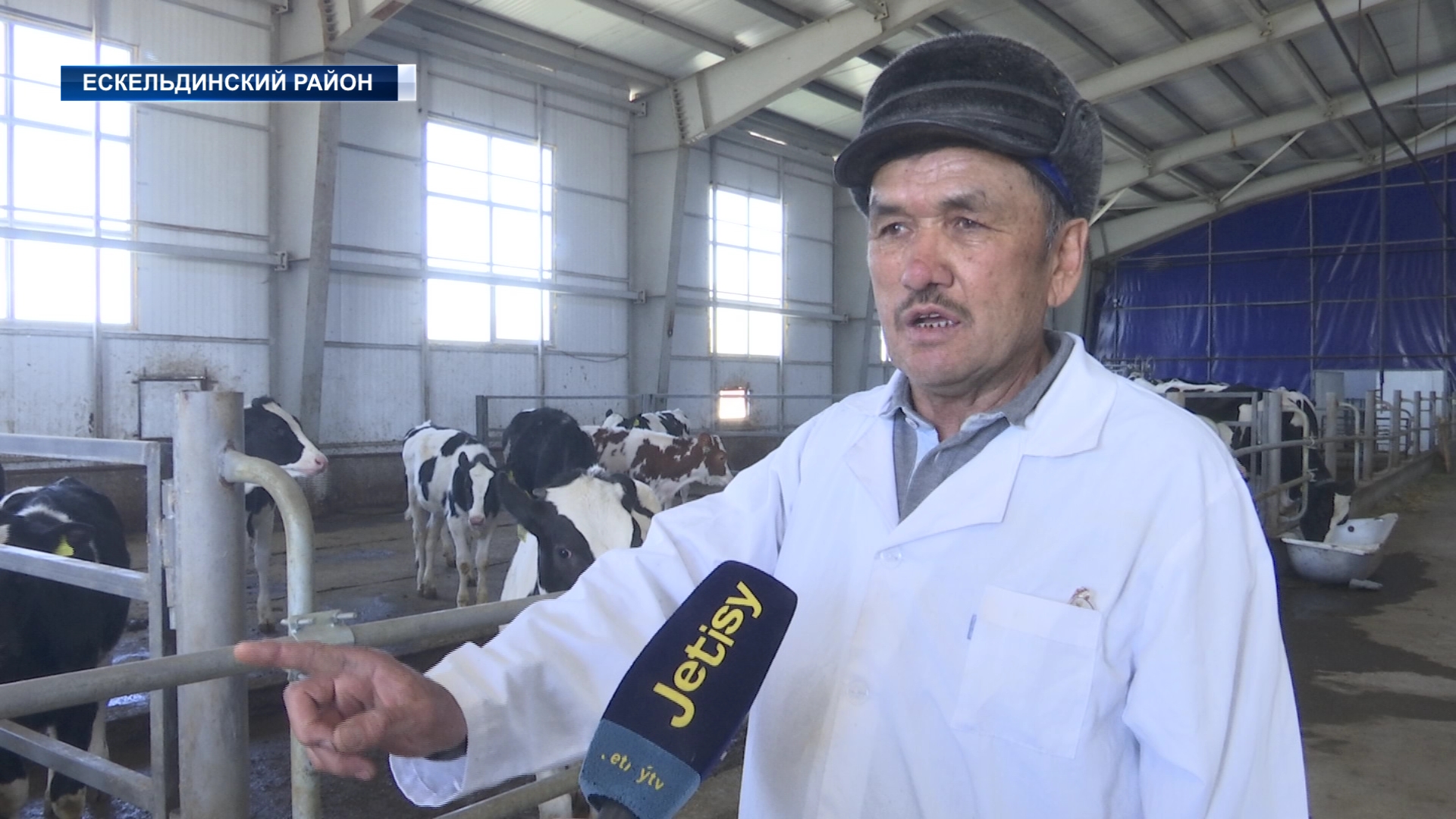 Ескельдинский район увеличивает производство молока