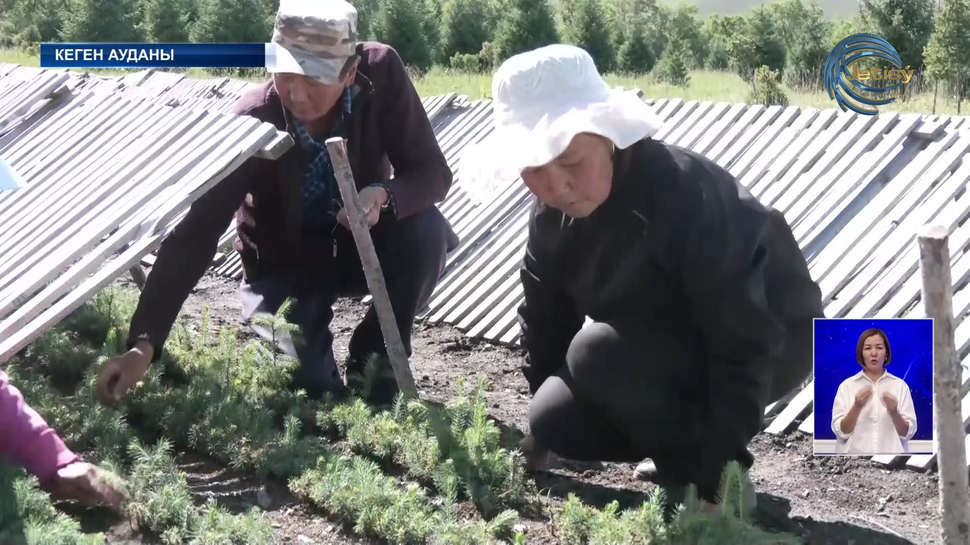 Орман шаруашылығы қызметкерлерінің жалақысы артады