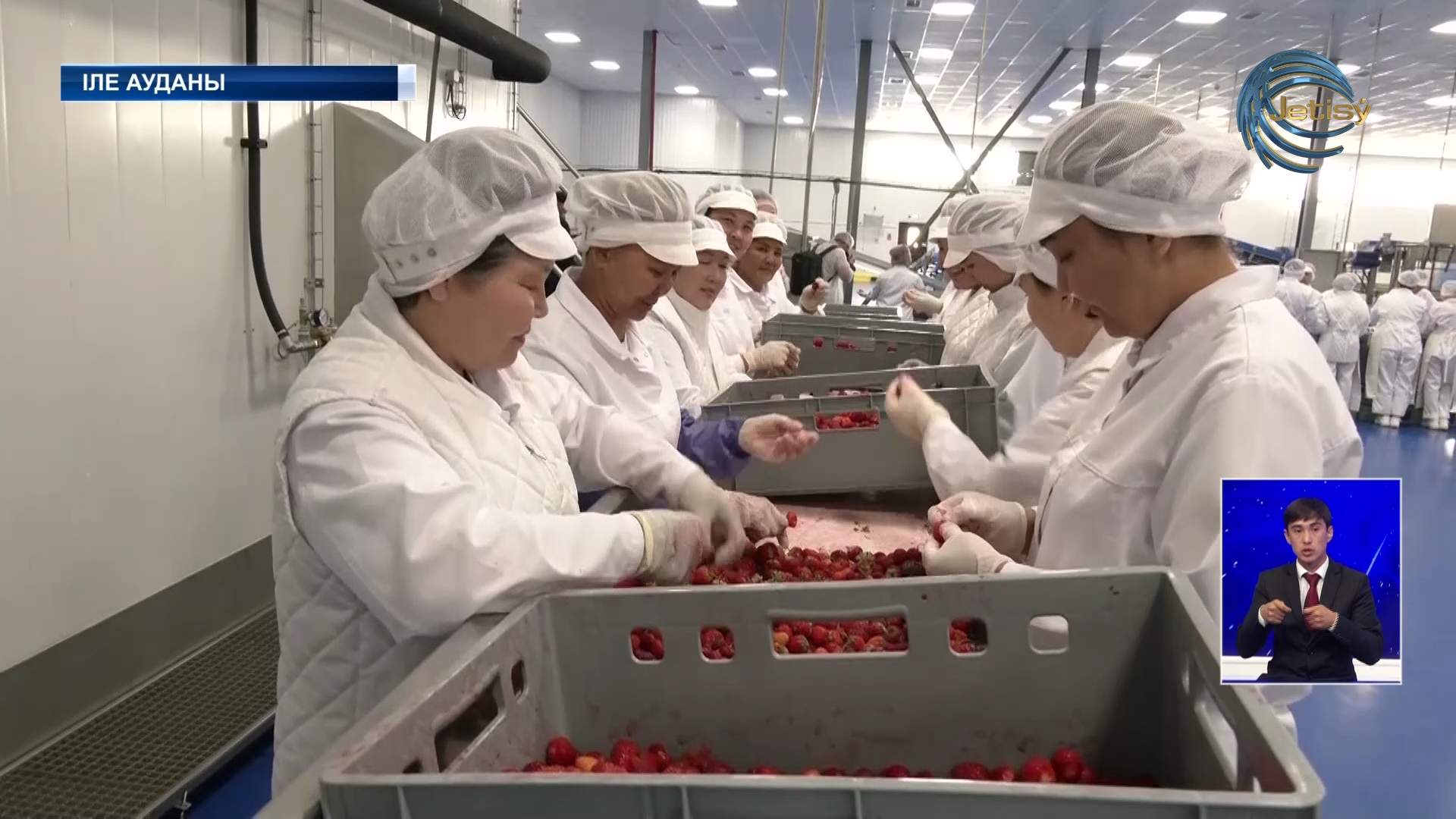 Балмұздақ импорты 30 пайызға кеміген