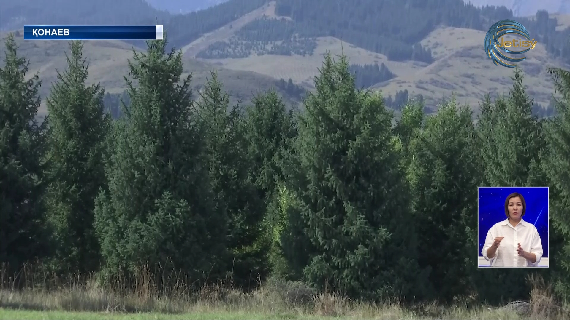 Биыл Алматы облысы аумағында он бірге жуық орман өрті болды