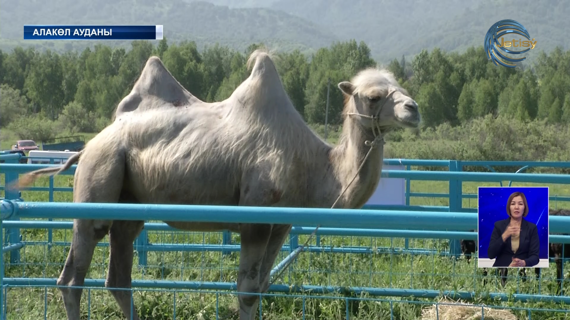 Алакөл ауданында халықаралық көрме өтті