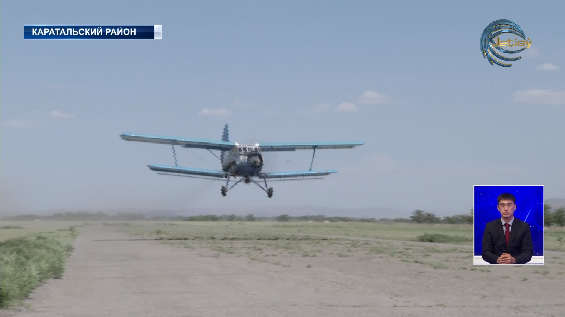 В области Жетысу началась борьба с саранчой