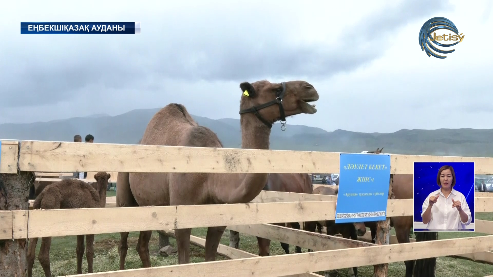 Алматы облысында ауыл шаруашылығы форумы өтті