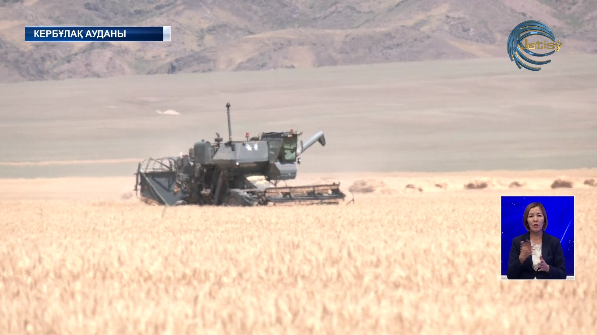 Жетісу облысында орақ науқаны қызып тұр