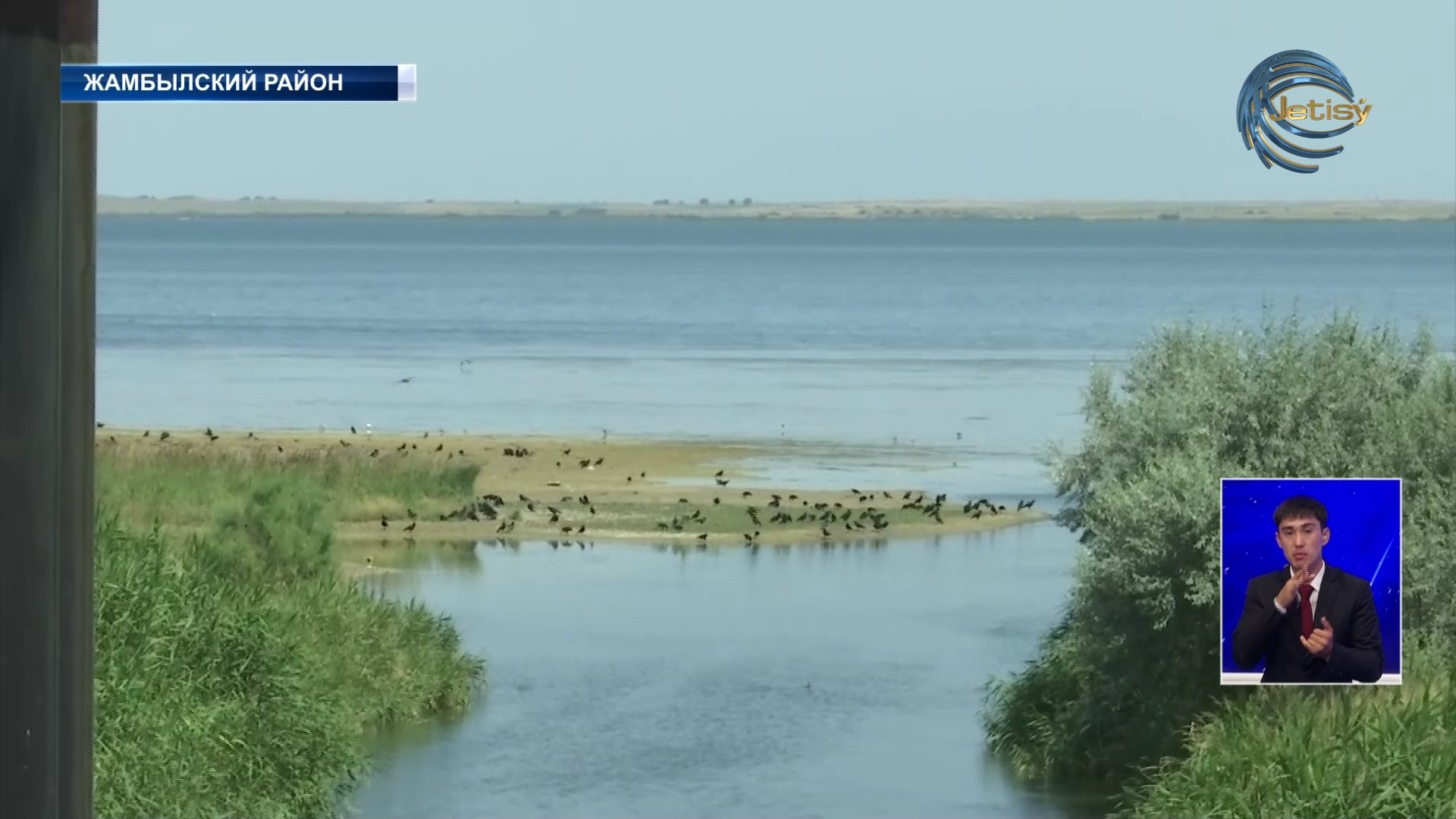 С каждым годом уменьшается количество корма для скота и засуха берет свое