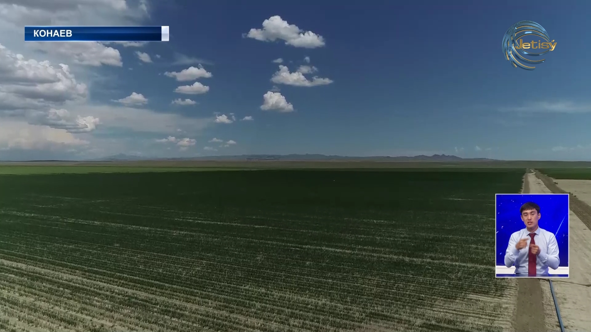 В Алматинской области аномальная жара угрожает урожаю крестьян настоящей засухой