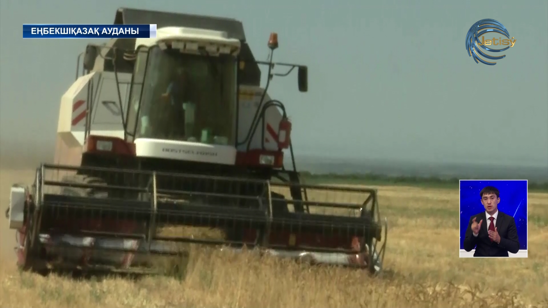 Еңбекшіқазақ ауданында егін орып жатыр