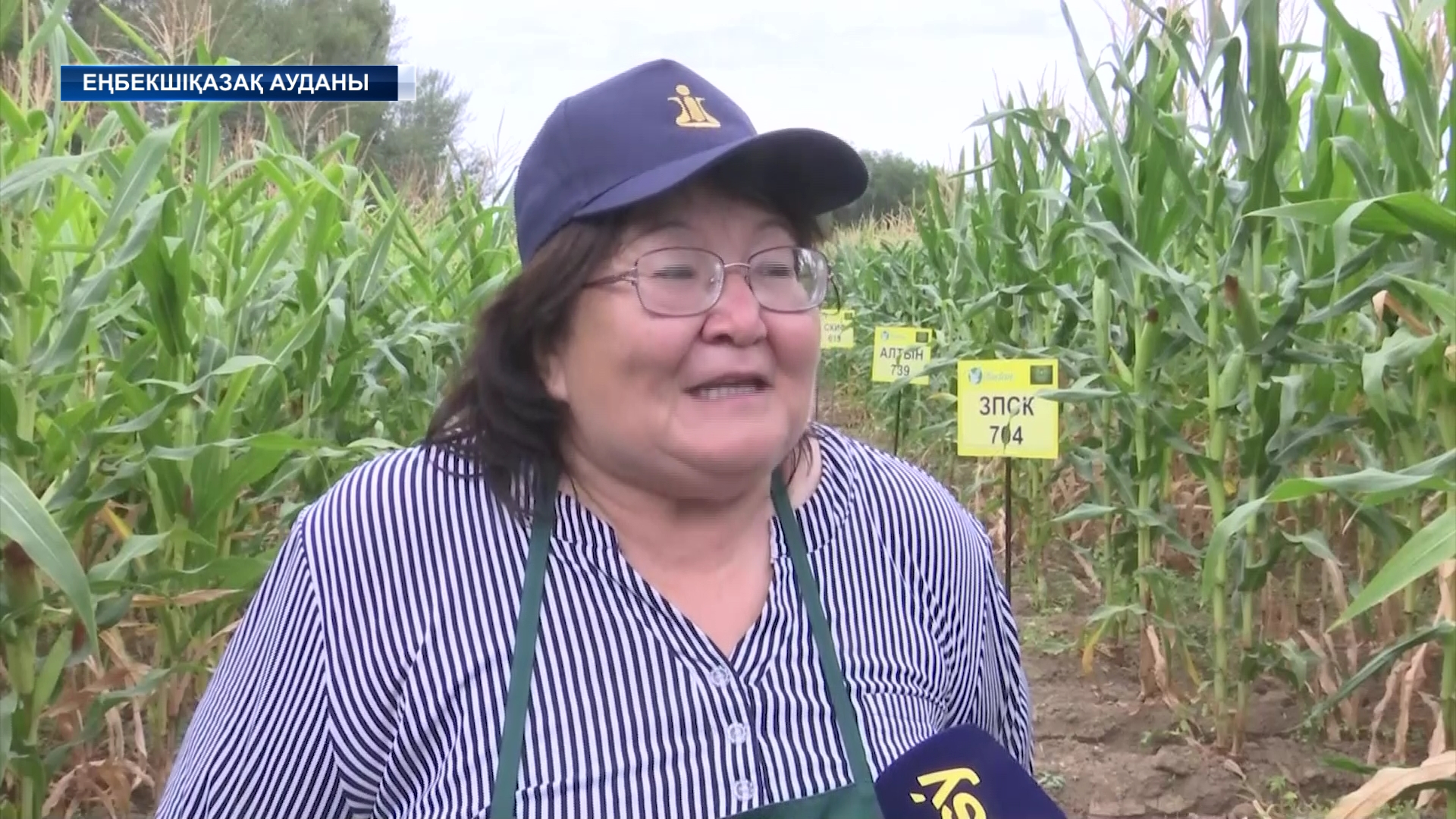 “Дала рауы” атты дақылдың 20 ға жуық түрін өсіріп шығарған ізденімпаз  агроном Еңбекшіқазақ ауданында  тұрады