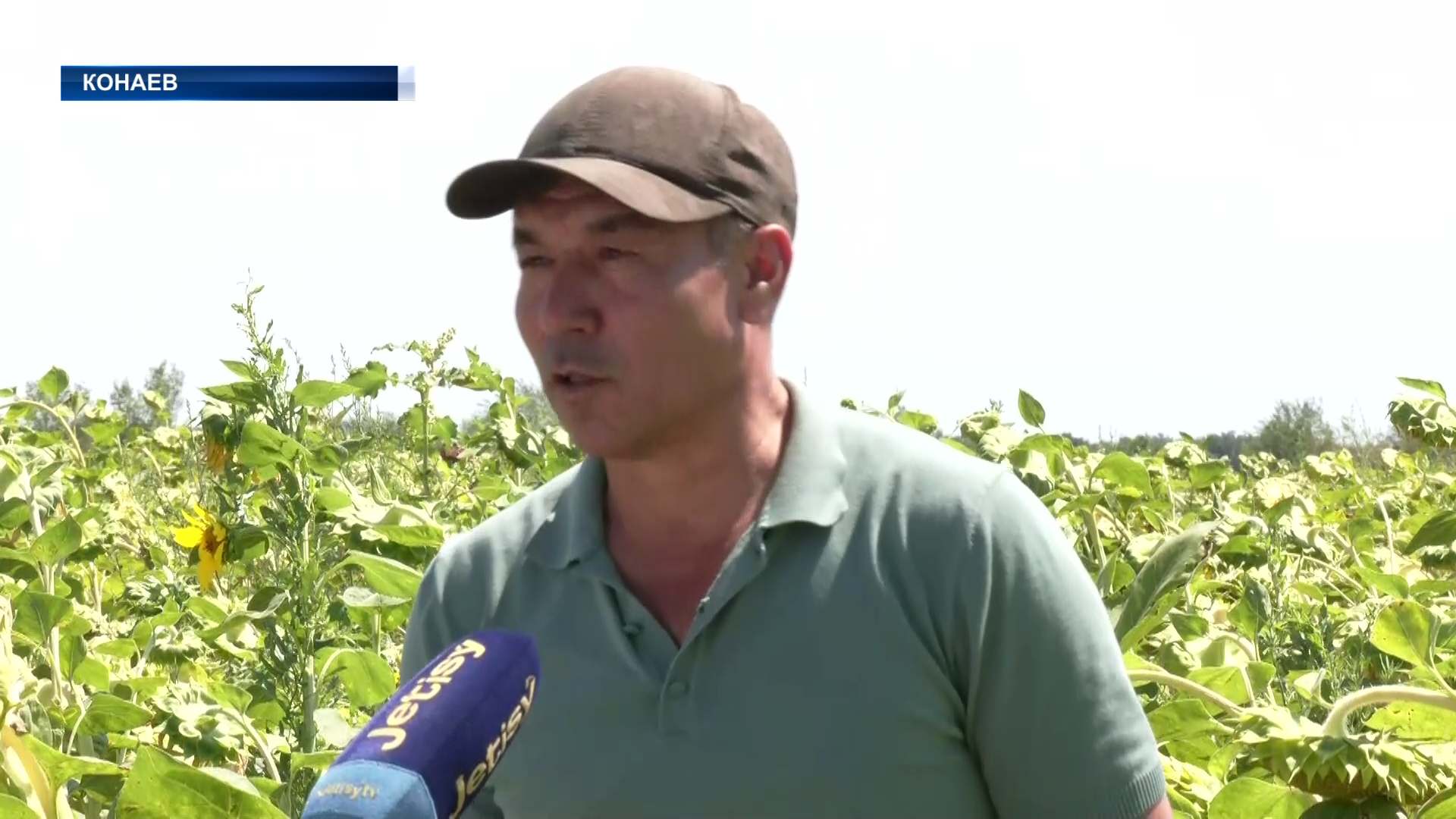 В Алматинской области насчитывается более пятидесяти тысяч хозяйств, занимающихся земледелием