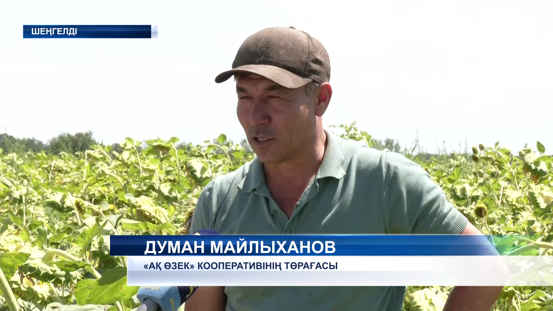 Алматы облысында егін шаруашылығымен айналысатын 50 мыңнан аса қожалық бар