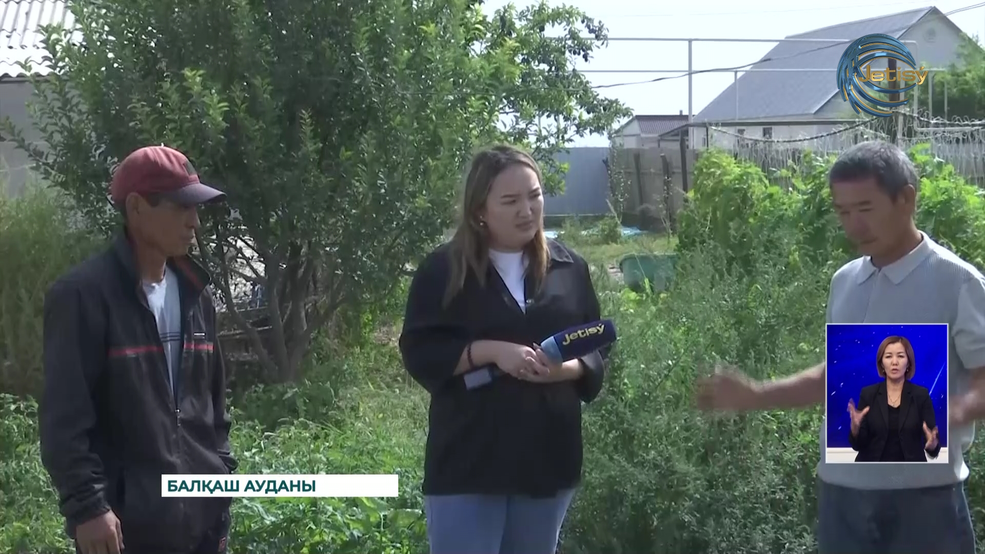 Шылаушын өсіру — бау-бақша өнімдерін 2-3 есе артық алуға сеп