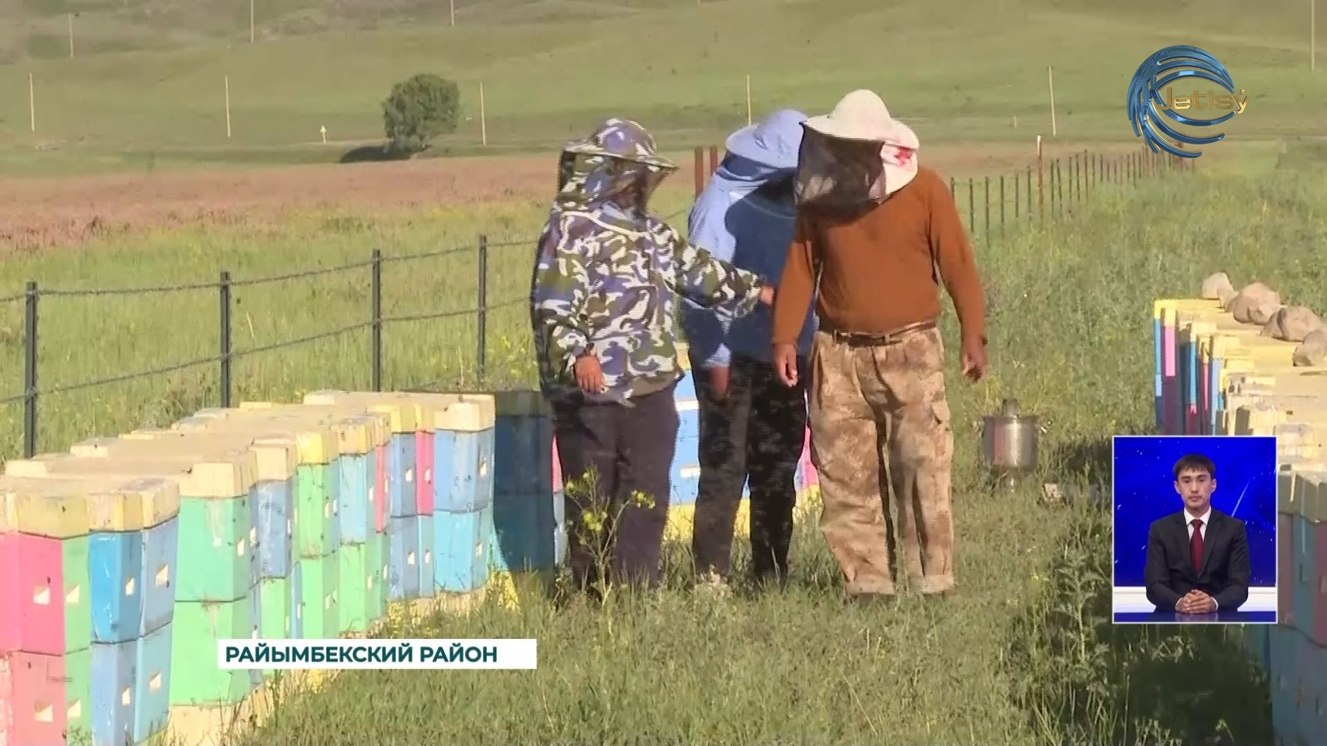 Житель Райымбекского района занимается разведением особого вида пчел