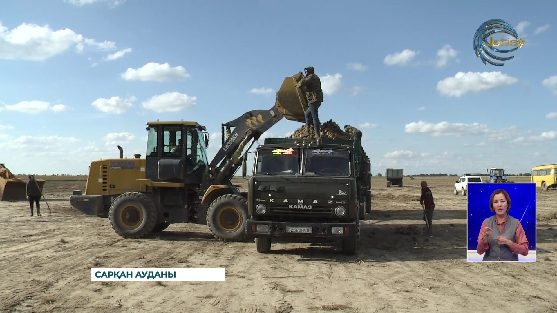 Сарқандықтар гектарына 800-900 центнерден қызылша жинап жатыр