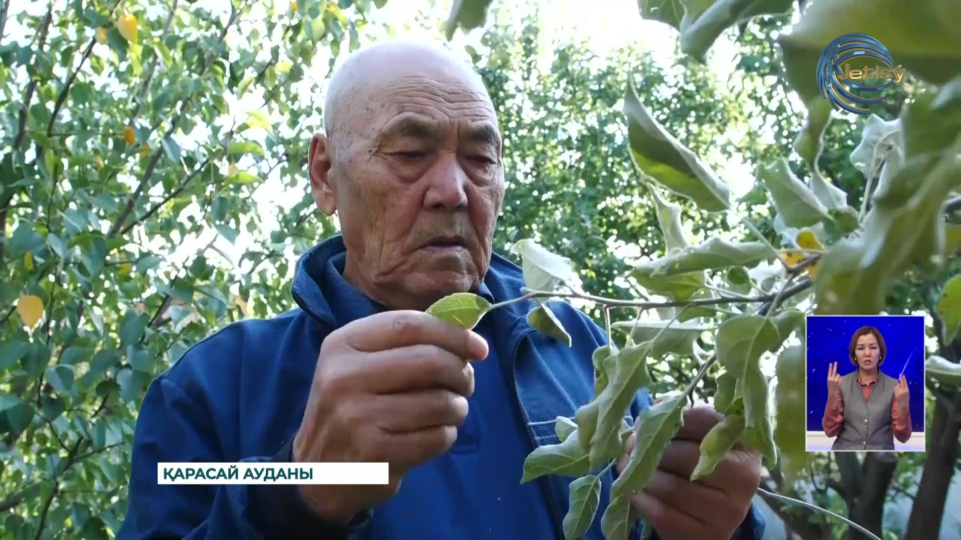 Жарты ғасыр ғұмырын ауыл шаруашылығы саласын дамытуға арнаған