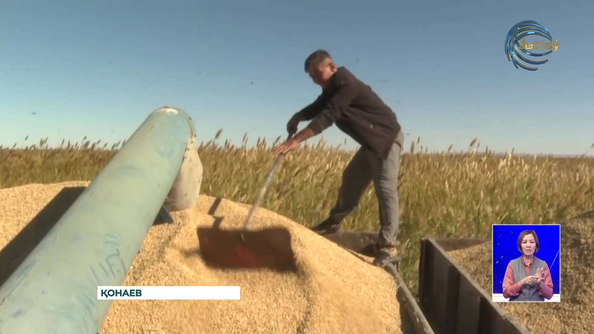 Алматы облысында ауыл шаруашылығы дақылдарының алқабы ұлғайды