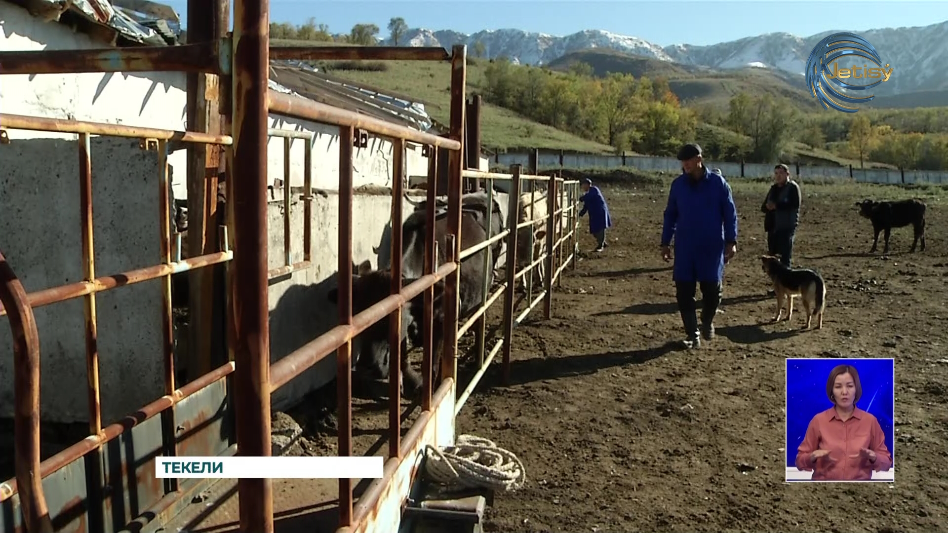 Животноводство — одно из важнейших отраслей агрохозяйственной деятельности