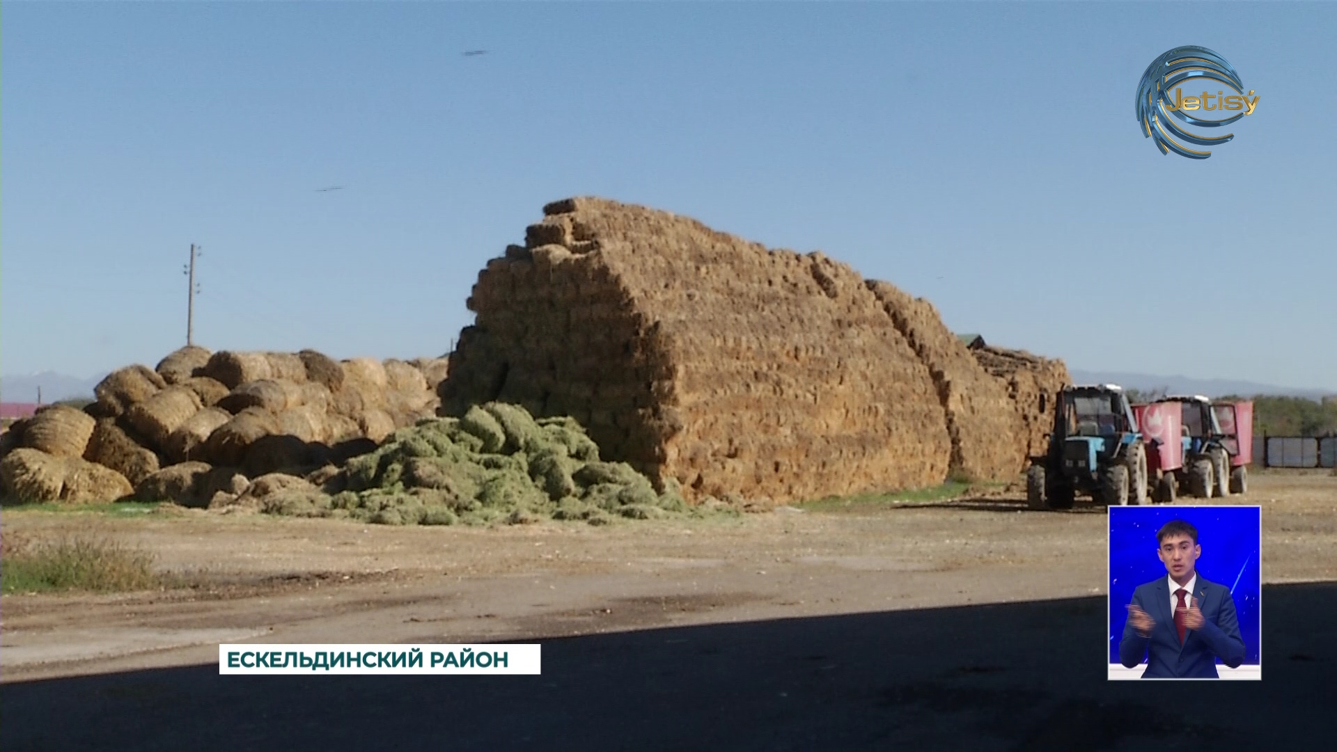 Фермеры Жетысу заготавливают зимние корма для скота