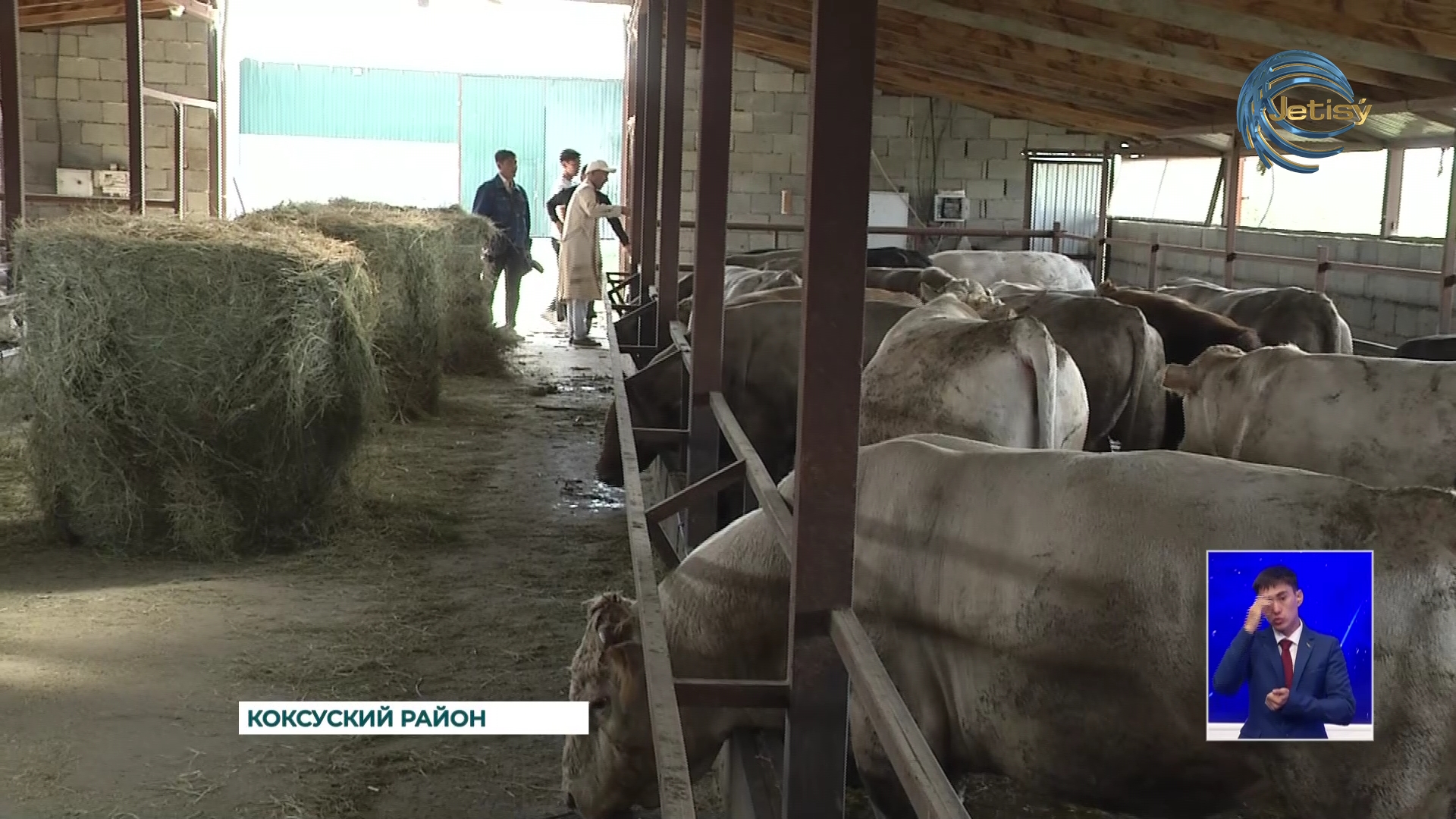 Возрождая семейные традиции животноводов