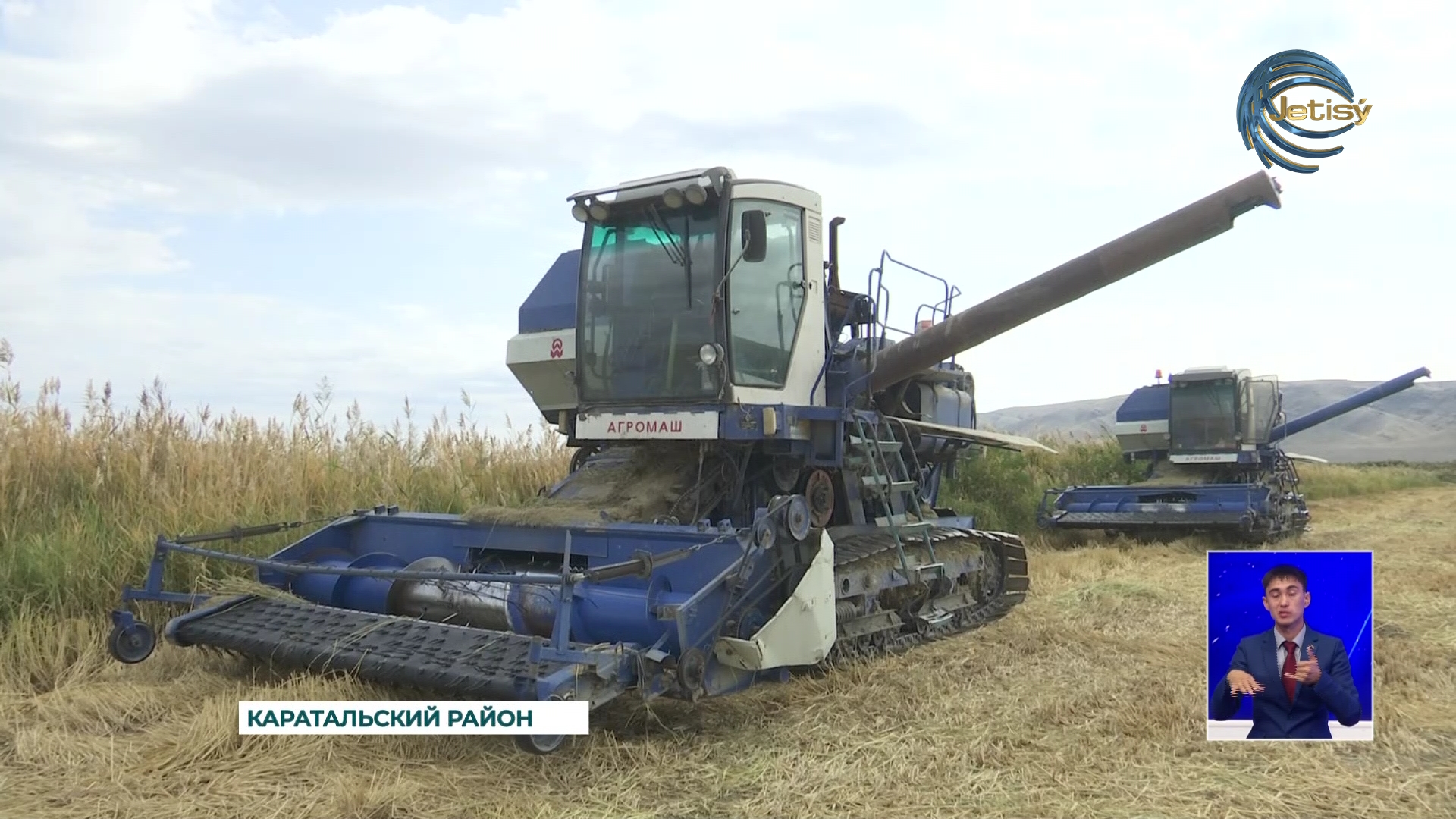 Фермеры Каратальского района приступили к сбору риса