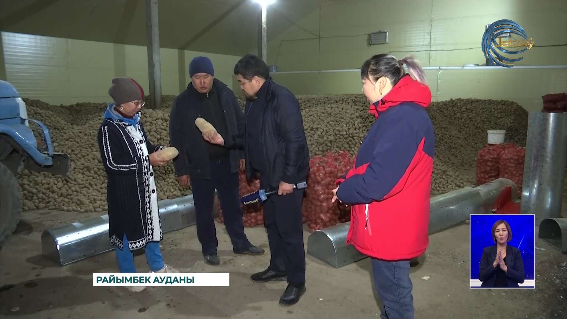 Райымбек ауданында картоп алқабы 5 жарым мың гектарға жуықтады