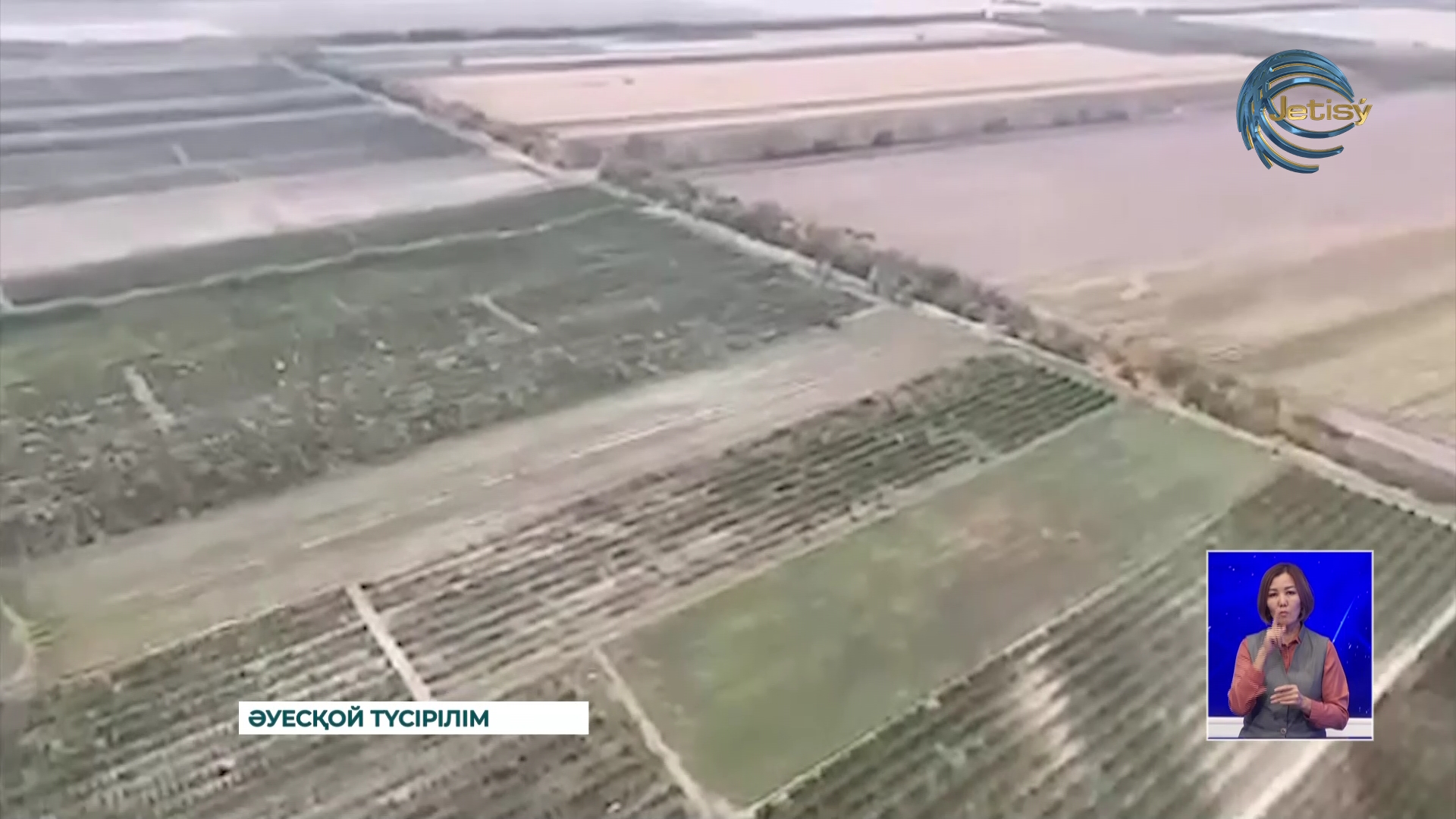 Алматы облысы тұрғынының жер учаскесінен 3 тоннаға жуық марихуанна өсімдігі тәркіленді