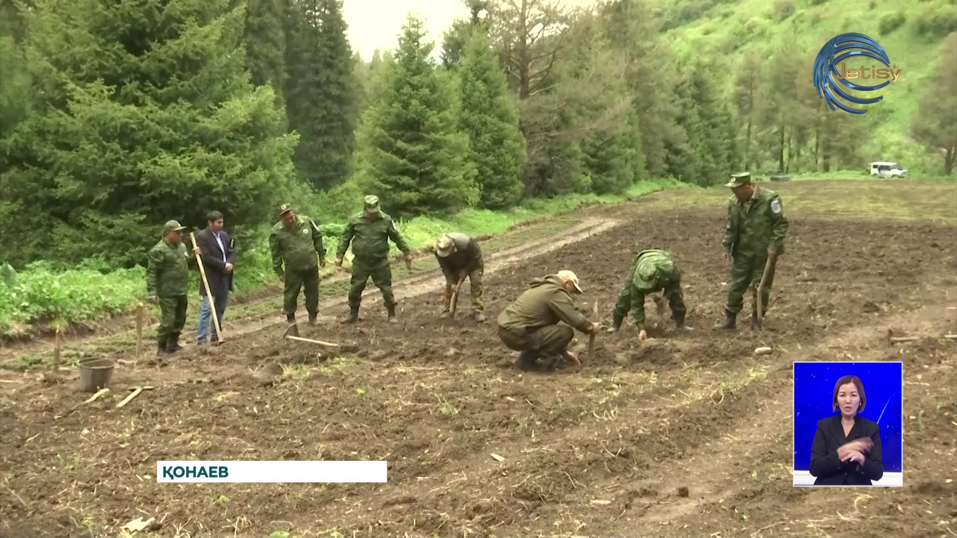 Биыл тұңғыш рет орманшылар күні аталып өтті