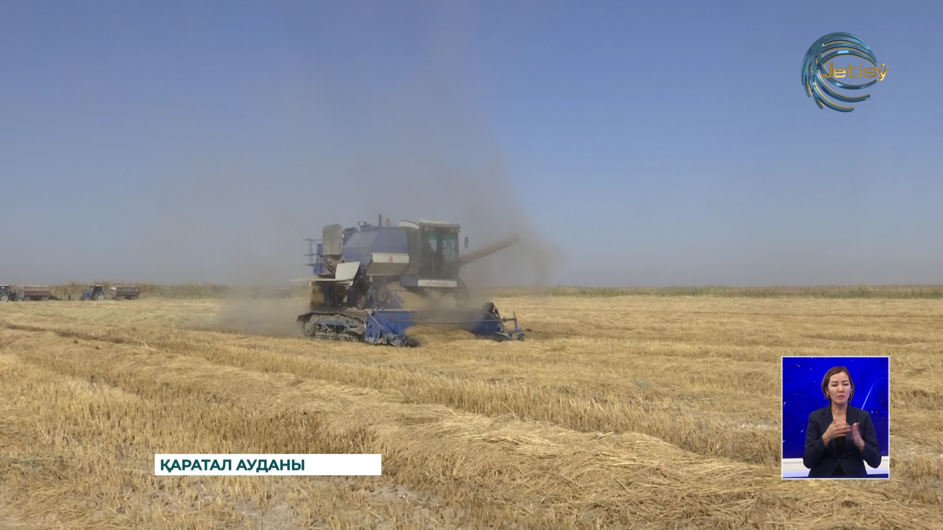 Қаратал ауданының күріш ору науқаны қызу